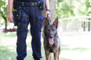 K-9 killed protecting officer and inmate who was attacked by prisoners, Virginia officials say