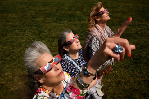 PHOTOS: Glasses on for eclipse mania!