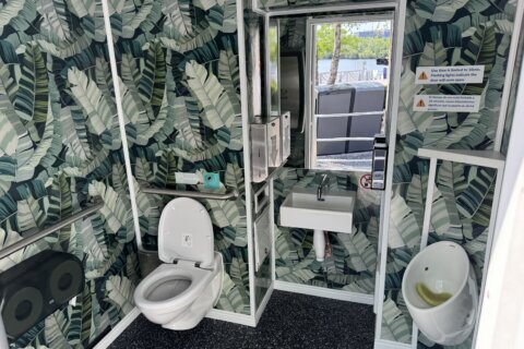 'Not your typical porta potty': Portable bathrooms put up around DC