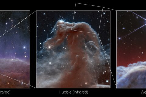 A horse-shaped nebula gets its close-up in new photos by NASA’s Webb telescope