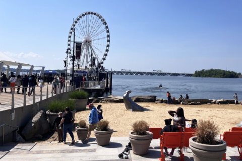 ‘Fix the problems in the communities’: National Harbor businesses, visitors react to emergency youth curfew