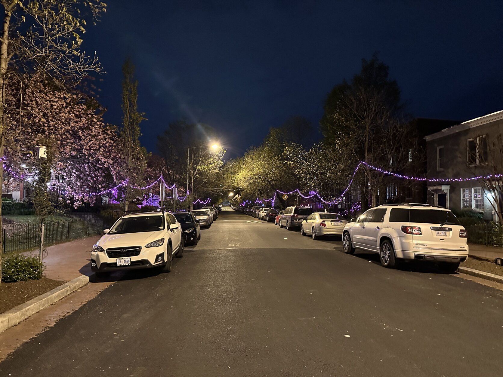 <p>Cherry blossom designs adorn this D.C. neighborhood.</p>
