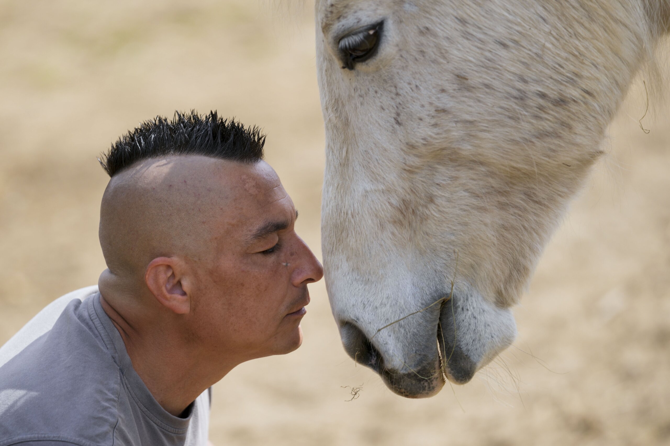 Serbia’s Only Horse Sanctuary Has Cared For Dozens Of Tortured, Old And 