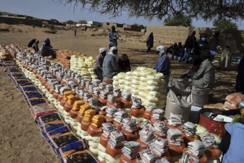First UN food supplies arrive in Sudan’s Darfur after months but millions face acute hunger