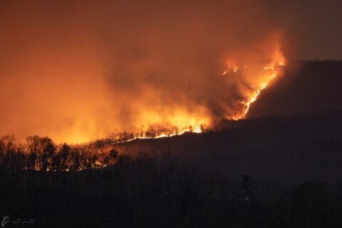 Fires have consumed nearly 20,000 acres in Va. this spring. That could be good for the environment.