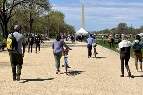 Trump’s budget plan pairs $10B for DC beautification projects with national parks cuts