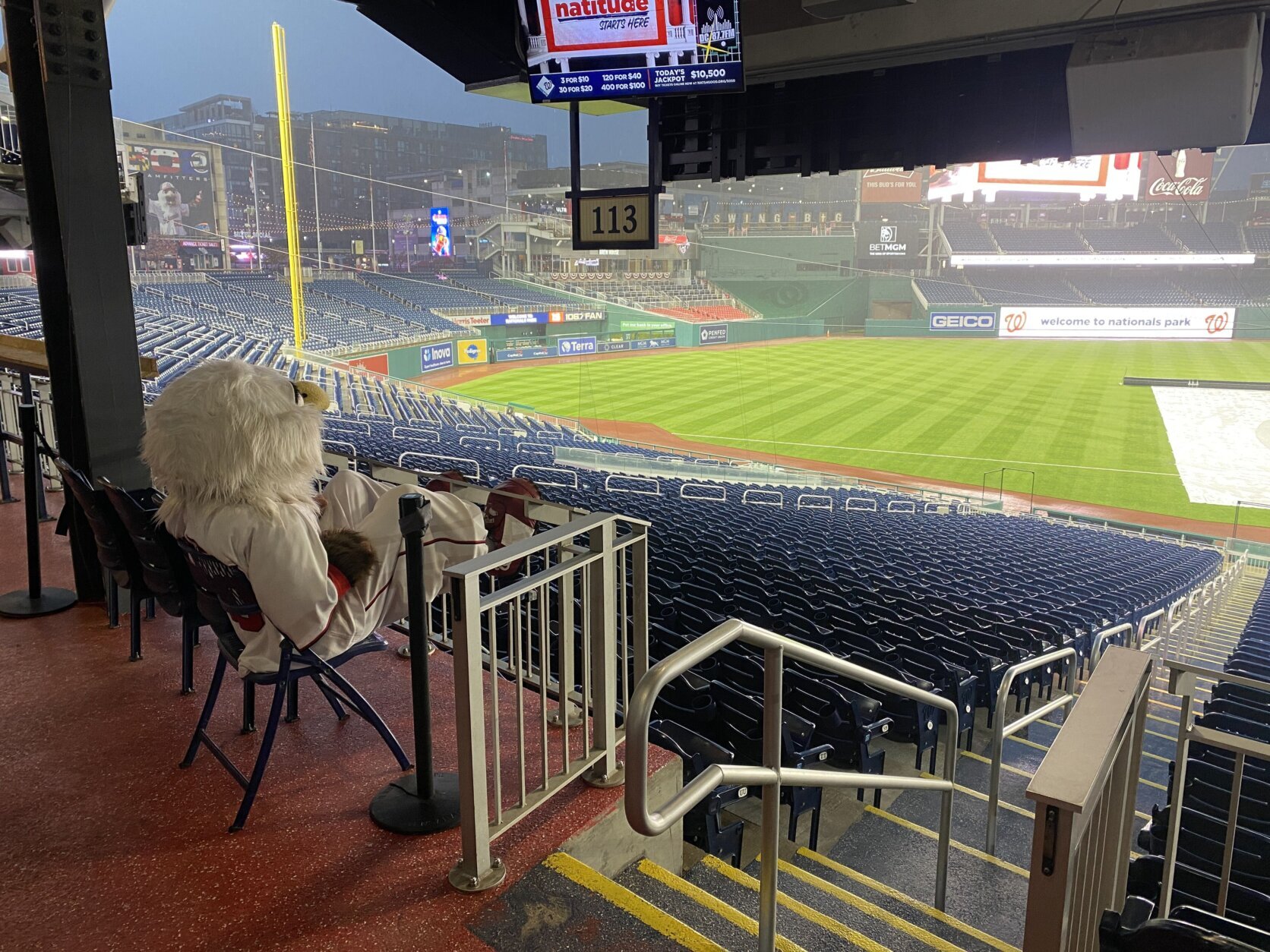 Screech the eagle watching the field at Nats Park