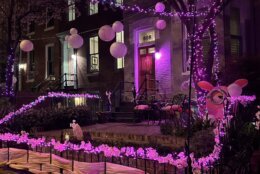 A D.C. front yard decorated with lanterns and cherry blossom decor