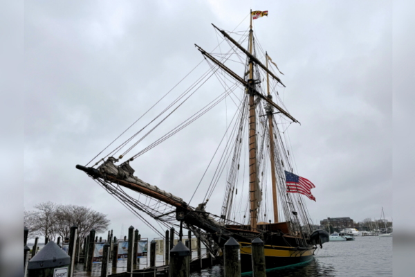 day trips near annapolis md