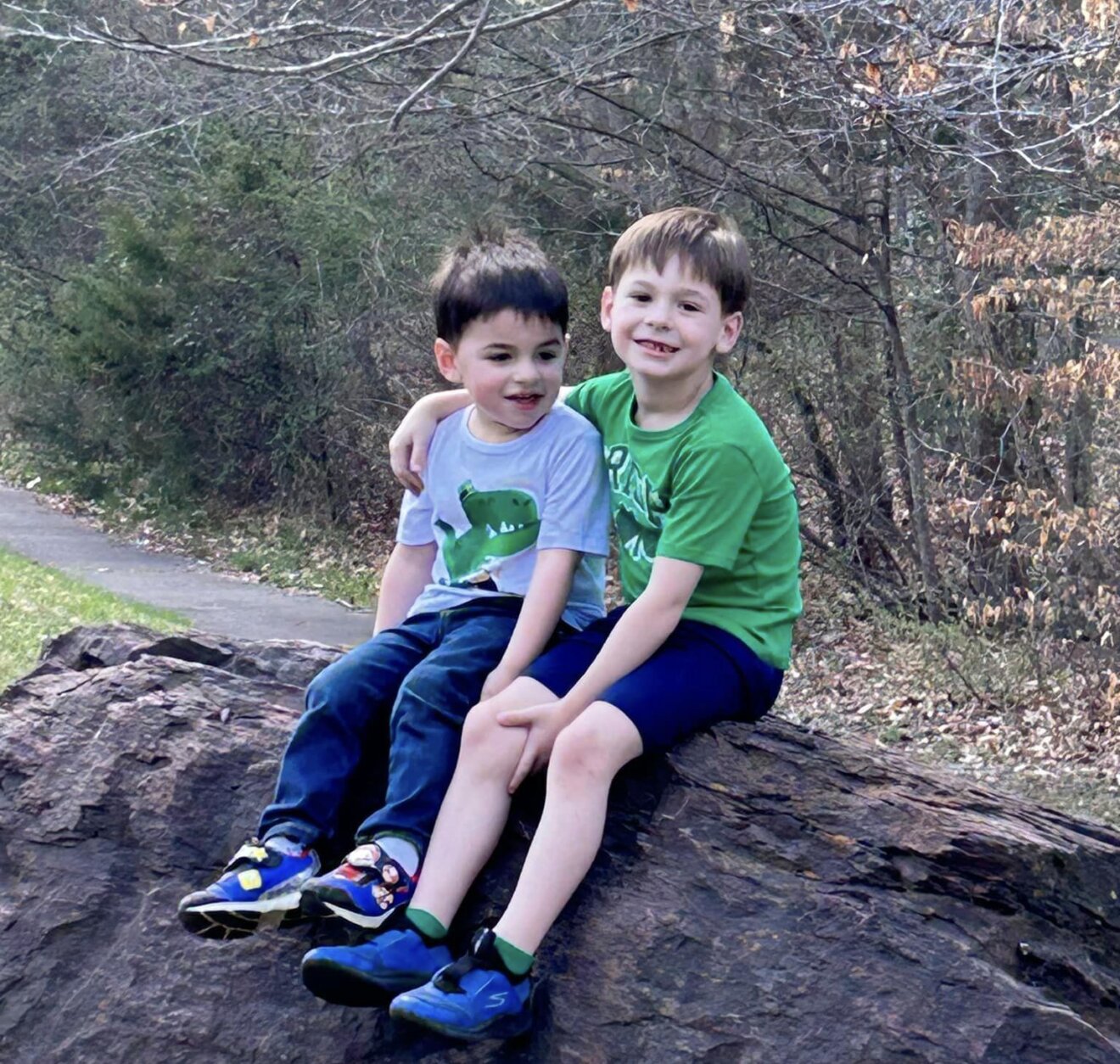 brothers sit on top of a rock
