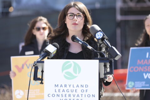 Maryland state Sen. Sarah Elfreth wins Maryland Democratic congressional primary