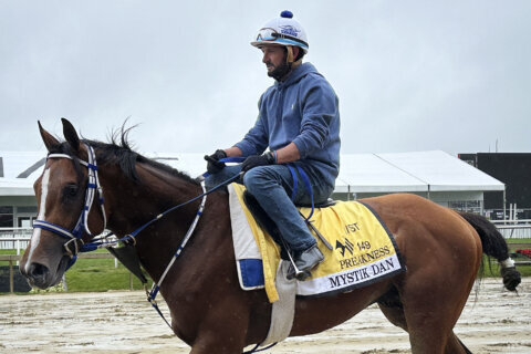 Mystik Dan looks like the horse to beat in the Preakness on what could be a muddy track