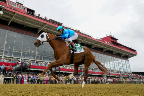 Gun Song wins the Black-Eyed Susan at Pimlico, beating Corposo by 3 1/4 lengths