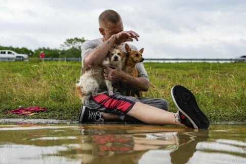 Hundreds rescued from flooding in Texas as waters continue rising in Houston