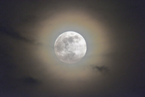 Full Flower Moon covers star Antares Thursday night in ‘occultation’ event