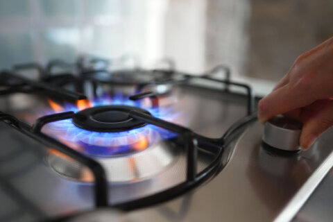 Protected: Research shows no connection between asthma and gas stoves
