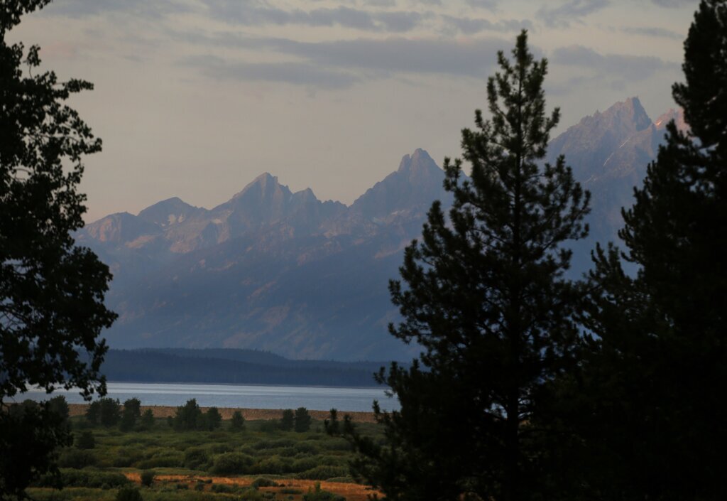 Grizzly that mauled hiker in Grand Teton National Park won’t be pursued
