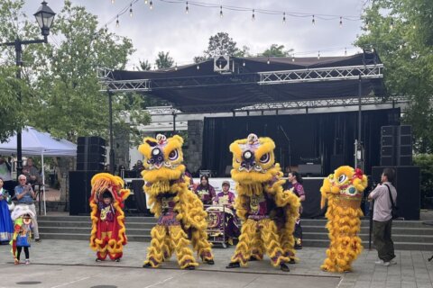 ‘It’s good to share our culture’: Festival celebrates diverse Asian community in DC area