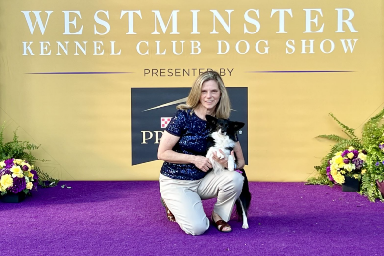 Maryland Border Collie mix ‘Nimble’ steals the show at Westminster’s