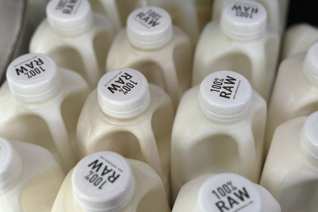 There’s bird flu in US dairy cows. Raw milk drinkers aren’t deterred