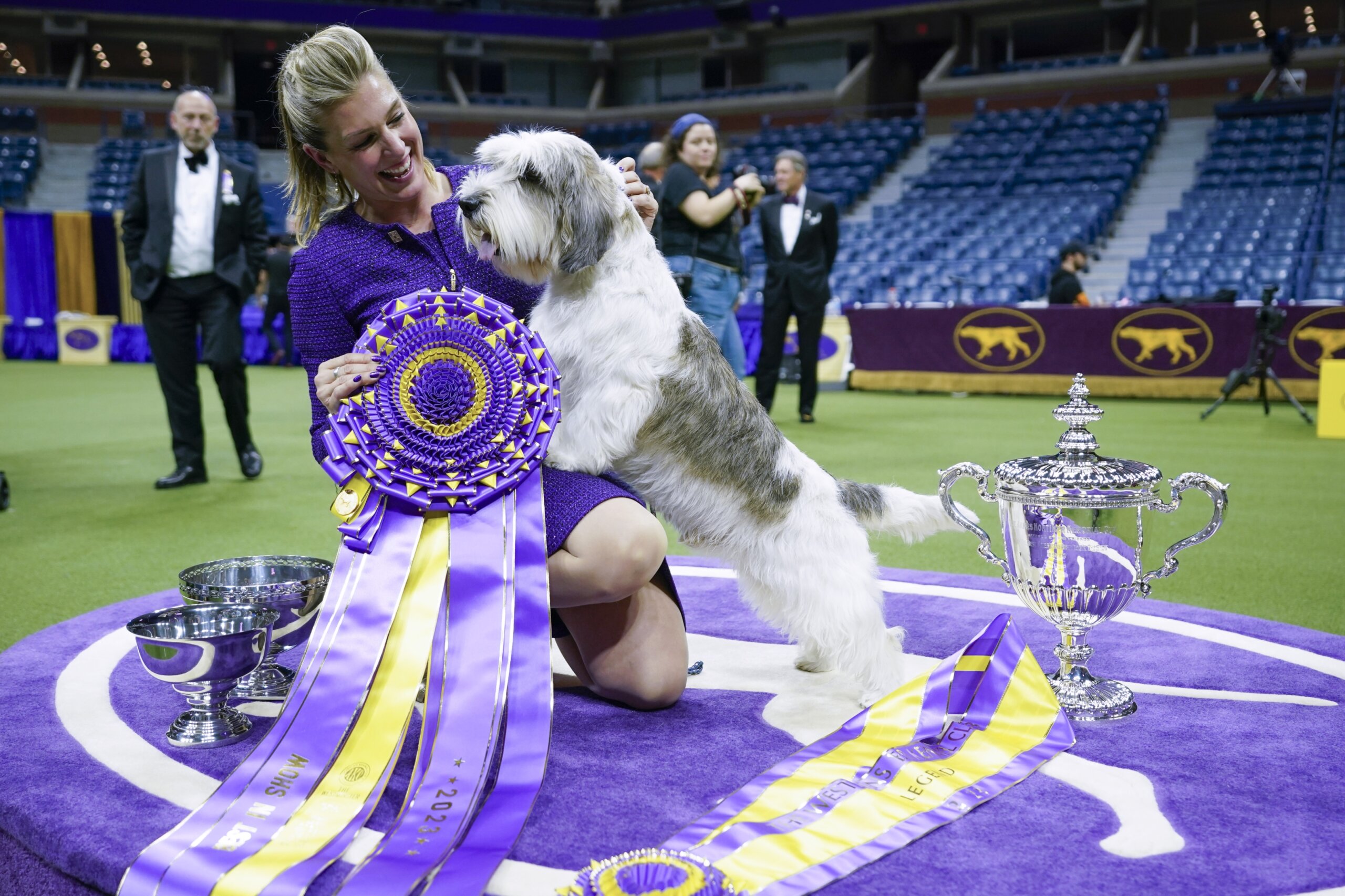 Top Dog Show Winner - Unveiling the Champion of the Year