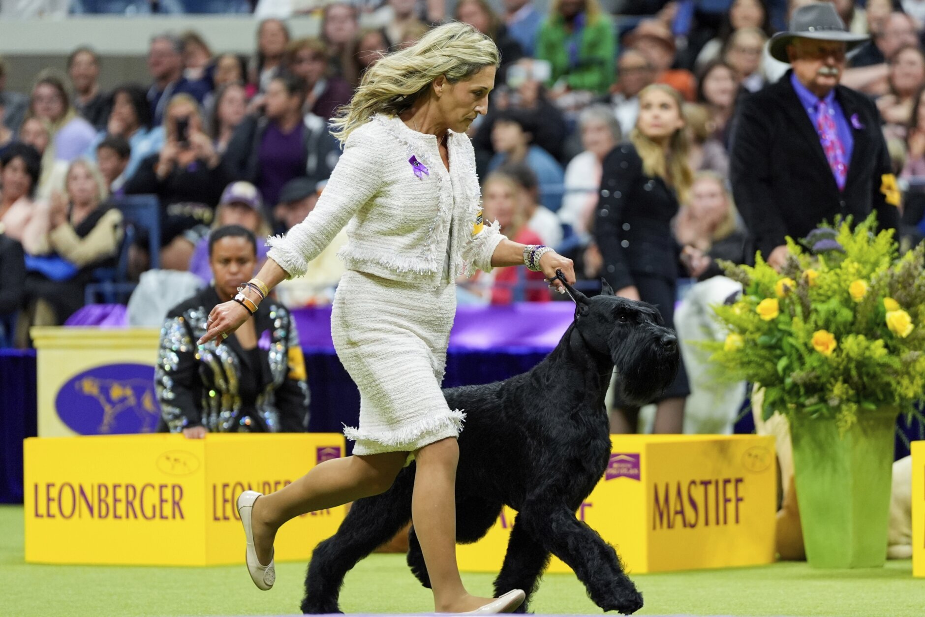 Westminster Dog Show Prize in [year]