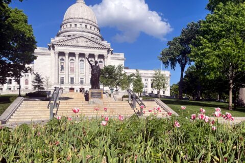 Up in smoke: Workers remove dozens of apparent marijuana plants from Wisconsin Capitol tulip garden