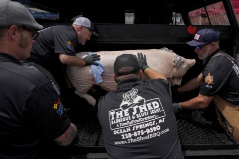 Grand champion crowned the best in pork at barbecue world championship in Memphis