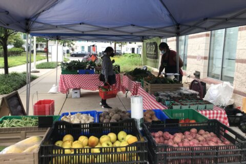FRESHFARM takes over Southeast farmers market in Ward 8