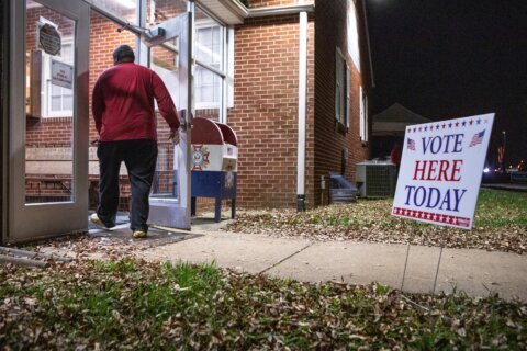 Arranca la votación anticipada para las primarias de Virginia: lo que debes saber