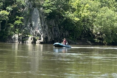 Search continues for missing swimmer near Great Falls; first responders warn public about ‘dangers’ of Potomac River currents