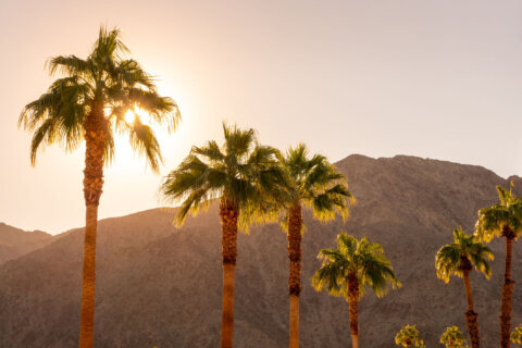 United Airlines adds nonstops from DC to Palm Springs