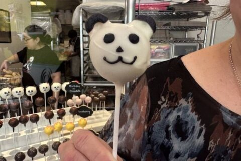 DC bakery famous for panda-pops delighted as beloved bears return to National Zoo