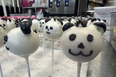 DC bakery famous for panda-pops delighted as beloved bears return to National Zoo