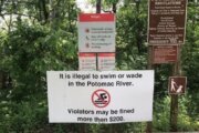 Search to resume on Potomac River for missing man