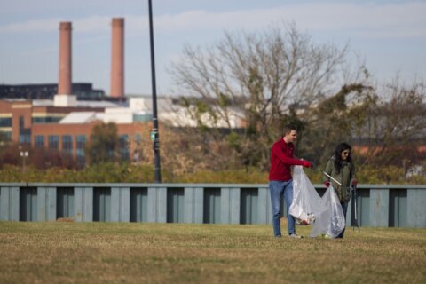 ‘Human health’ at risk: DC AG accuses construction company of polluting Anacostia River