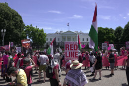 Pro-Palestinian protesters demonstrate in front of the White House in Washington, Saturday, June 8, 2024. (AP Photo/Manuel Balce Ceneta)