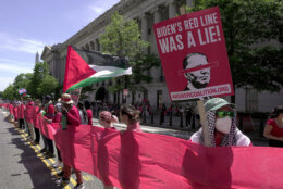 Pro-Palestinian protesters carry a red banner representing a "red line" in front of the White House in Washington, Saturday, June 8, 2024. (AP Photo/Manuel Balce Ceneta)