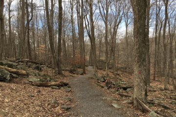 CUNNINGHAM FALLS state park kry