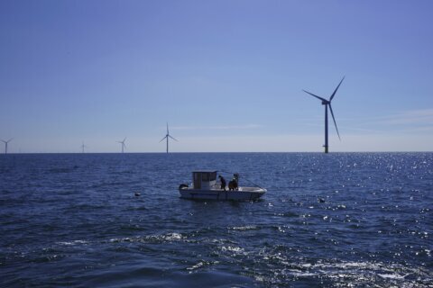 Beneath offshore wind turbines, researchers grow seafood and seaweed