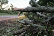 Recovery begins after tornadoes down trees and power lines, injuring 5 in Montgomery Co.