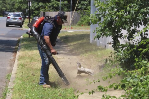 It’s the final fall for gas-powered leaf blowers in Montgomery Co. But tech could provide some options