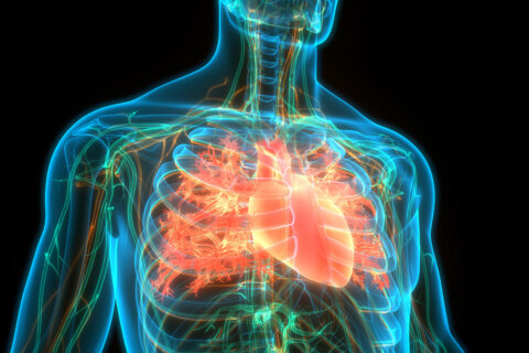 New technology could make treating atrial fibrillation safer