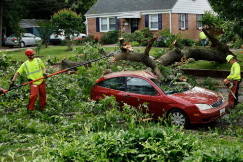 Montgomery Co. warns about ‘woodchucks’ after tornado does serious damage