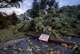 <p>A sprawling, rotating supercell swept over the D.C. region Wednesday, producing a tornado that tore through parts of Montgomery County in Maryland. The twister sent debris flying into the air, knocked down trees, damaged homes and blocked some roads in the area.</p>
