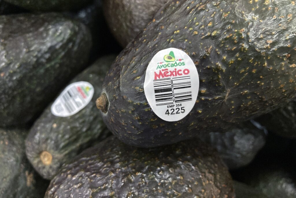 Assault on US avocado inspectors in Mexican state led to suspension of inspections