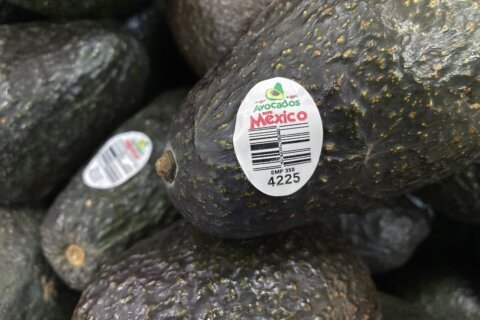 US will gradually resume avocado inspections in conflictive Mexican state, ambassador says