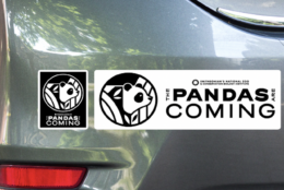 Panda bumper stickers