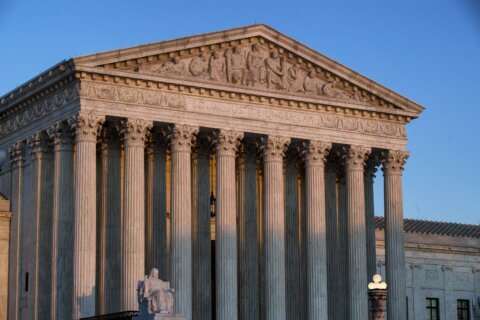 Supreme Court has a lot of work to do and little time to do it with a sizable case backlog