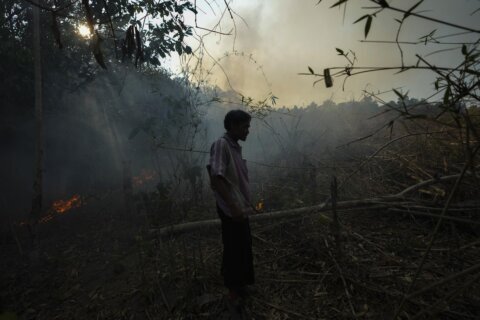 As Thailand gasps through another haze season, researchers hope a fire-charting app can help